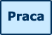 Praca